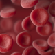 Imagen para el artículo titulado Transfunden por primera vez a personas sangre creada en un laboratorio